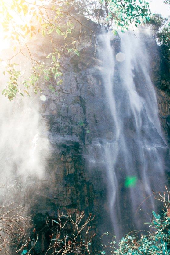 勇闯精灵大陆4